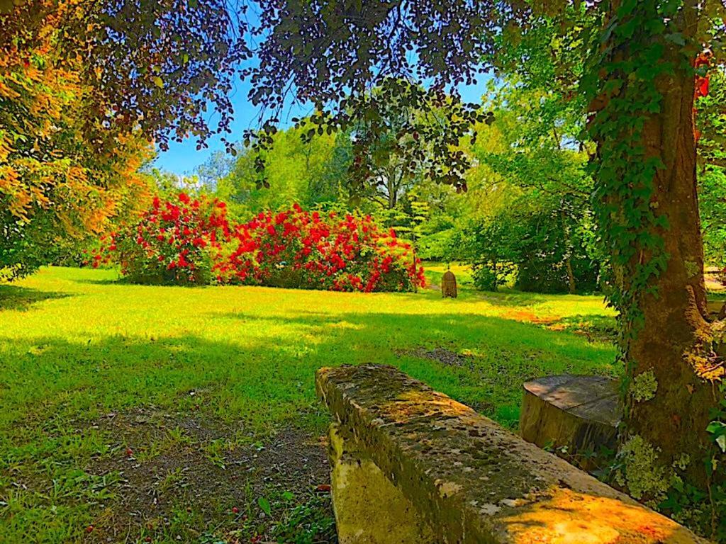 モントゥッサン Fabuleux - Domaine Du Moulin D'Andraut Bordeaux-Chevaux-Golf-St Emilionヴィラ エクステリア 写真