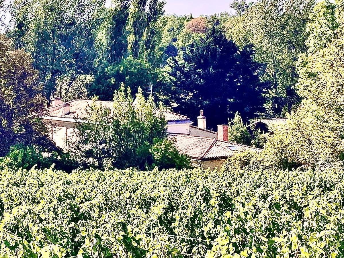モントゥッサン Fabuleux - Domaine Du Moulin D'Andraut Bordeaux-Chevaux-Golf-St Emilionヴィラ エクステリア 写真